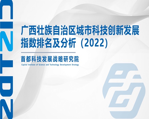 大胸女被操白虎扣粉逼自慰网站【成果发布】广西壮族自治区城市科技创新发展指数排名及分析（2022）